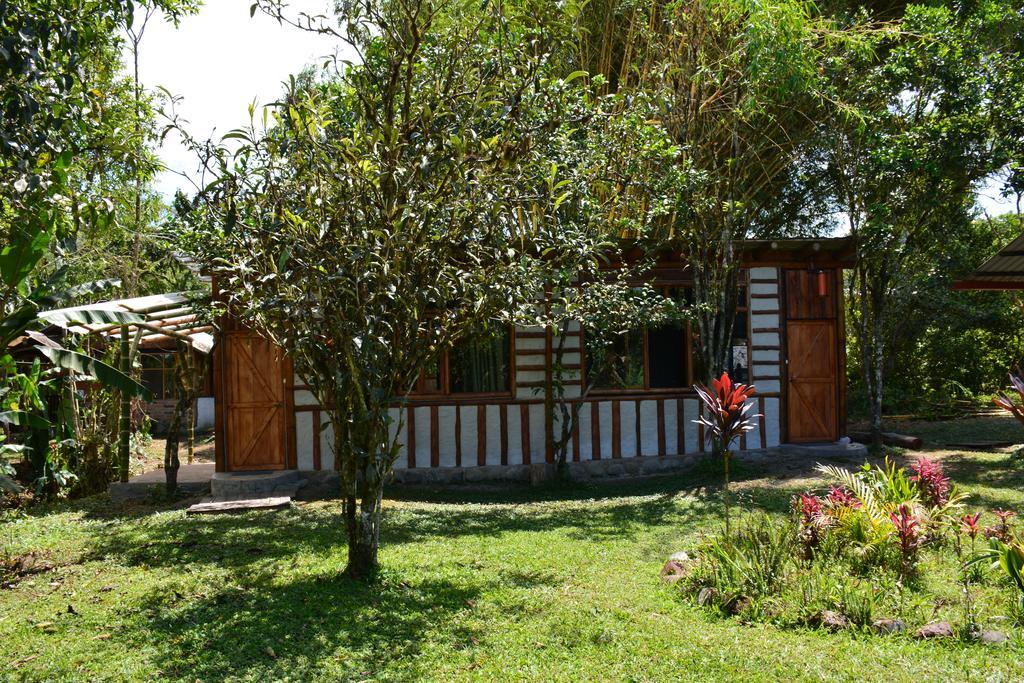 Casa De Piedra Hostel Mindo Buitenkant foto
