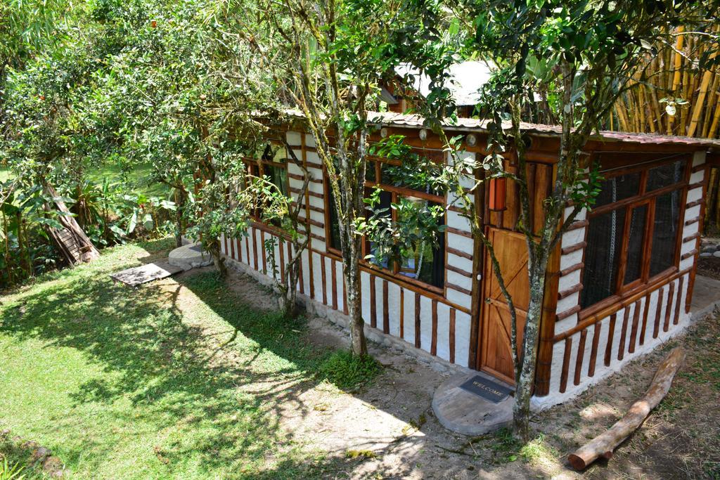 Casa De Piedra Hostel Mindo Buitenkant foto